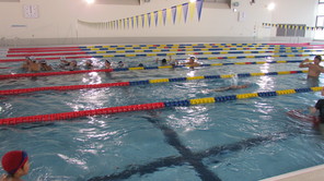 （動）水泳指導～6年生