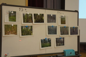 5年環境学習～森について学ぶ