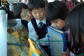 4年生社会見学～木曽三川公園