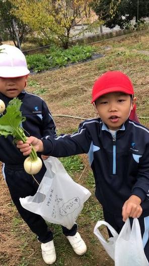（動）野菜の収穫～1年生