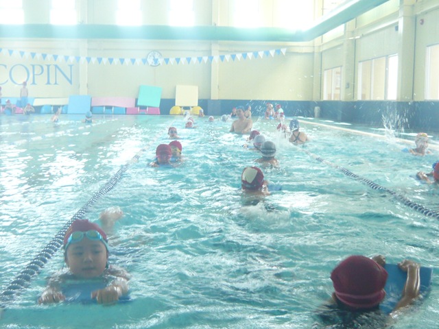 (動)2年生水泳指導