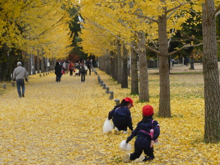 秋を楽しむ～生活校外学習