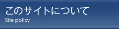 このサイトについて
