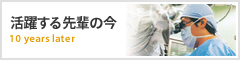 活躍する先輩の今