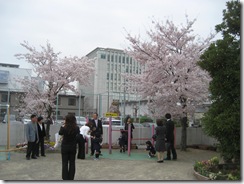 IMG_0484 IMG_0484
