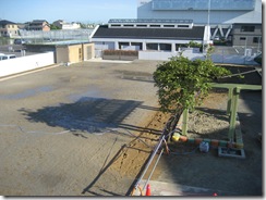 IMG_1270 IMG_1270