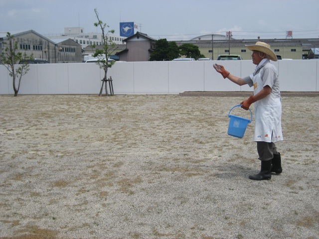 園庭日記③