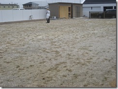 IMG_1309 IMG_1309