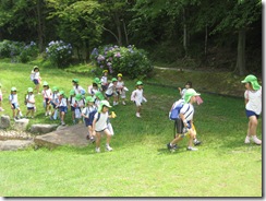 IMG_1741 IMG_1741
