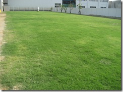 IMG_2255 IMG_2255