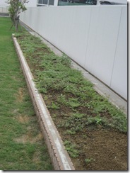 IMG_2333 IMG_2333