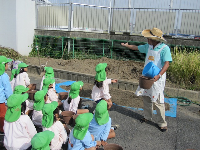 年長組 球根植え