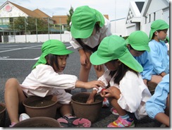 IMG_1242 IMG_1242