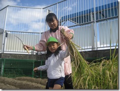 IMG_3577 IMG_3577