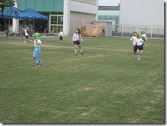 IMG_3586 IMG_3586