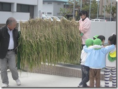 IMG_3587 IMG_3587