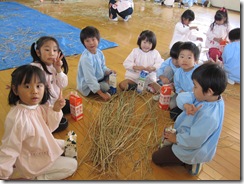 IMG_1244 IMG_1244