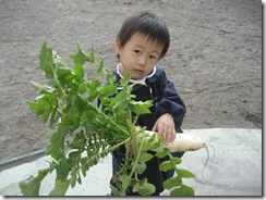 IMG_4424 IMG_4424