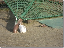IMG_4488 IMG_4488
