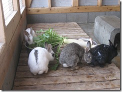 IMG_4494 IMG_4494