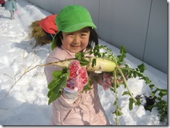 IMG_4548 IMG_4548