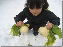 IMG_4574 IMG_4574