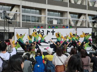 第53回クレマチス祭を開催しました。