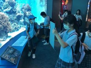  沖縄美ら海水族館