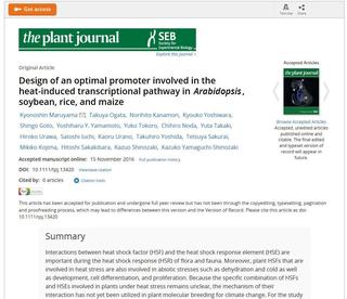 イギリス「The Plant Journal」電子版に研究成果が掲載