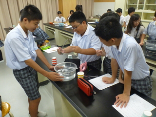 附属小学校の6年生が「授業体験」に来てくれました！！