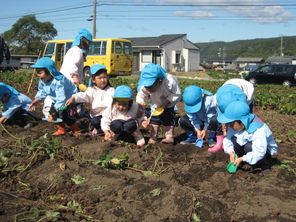 芋掘り遠足2日目