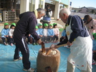 もちつき（年少）