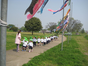 年中組　こいのぼり見学