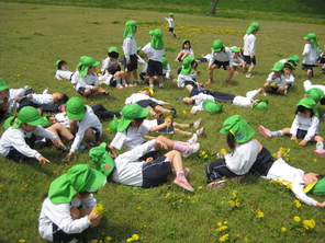 年中組　こいのぼり見学