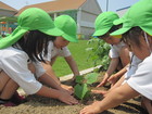 年中組 　野菜の苗植え