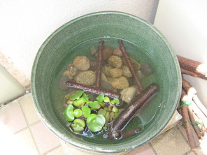 自然がいっぱい! 自然がいっぱい!