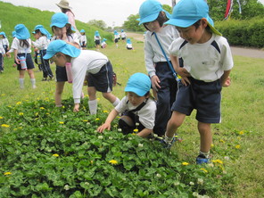 年長組　こいのぼり見学