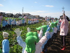 芋掘り遠足　その１