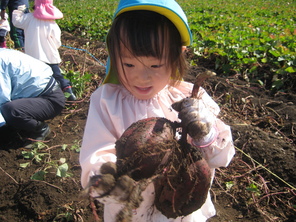 芋掘り遠足　その１