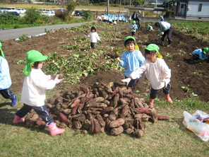 芋掘り遠足　その２