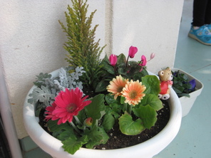 パンジーの花が咲いたよ パンジーの花が咲いたよ