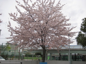 もうすぐ新学期 もうすぐ新学期