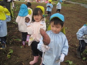 芋掘り遠足（年少）