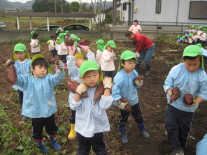 芋掘り遠足（年長）