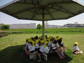 年長組　こいのぼり見学