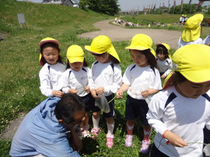 年長組　こいのぼり見学