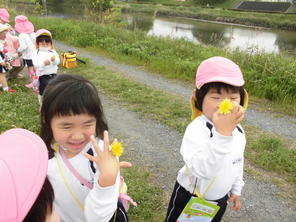 年中組　こいのぼり見学