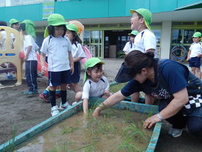 年長組　田植え