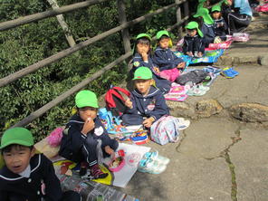 年長組　金華山登山