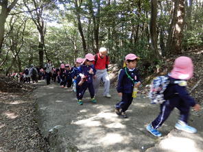 年長組　金華山登山